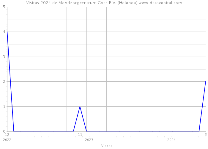 Visitas 2024 de Mondzorgcentrum Goes B.V. (Holanda) 