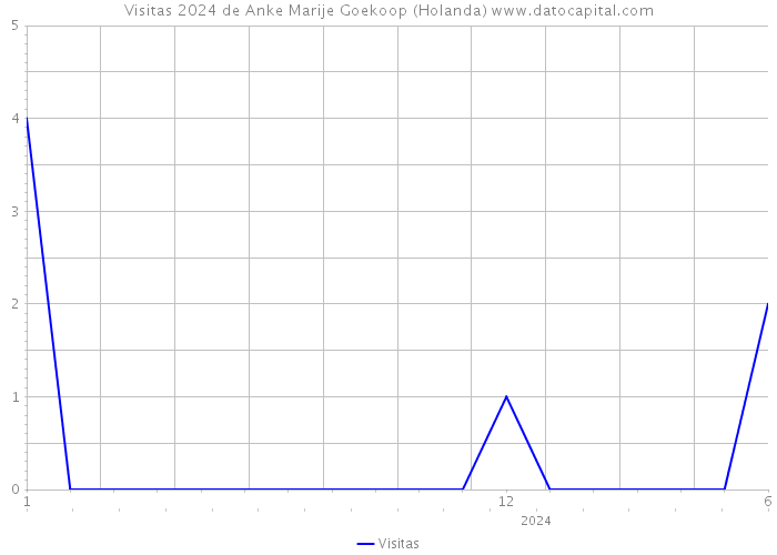 Visitas 2024 de Anke Marije Goekoop (Holanda) 