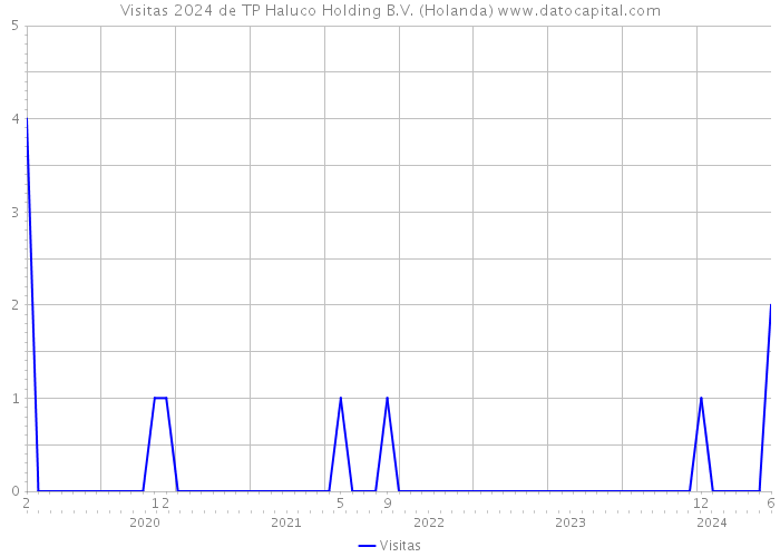 Visitas 2024 de TP Haluco Holding B.V. (Holanda) 