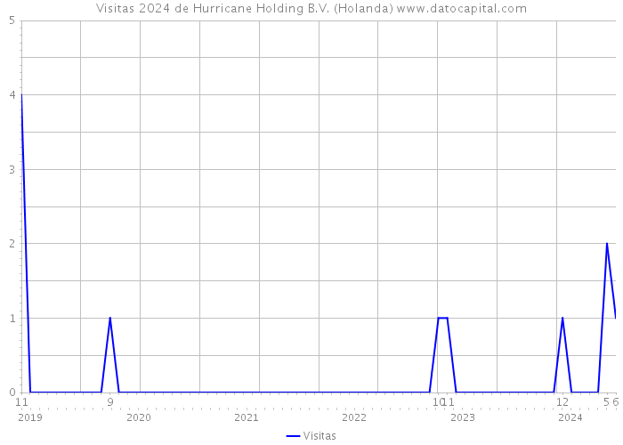 Visitas 2024 de Hurricane Holding B.V. (Holanda) 