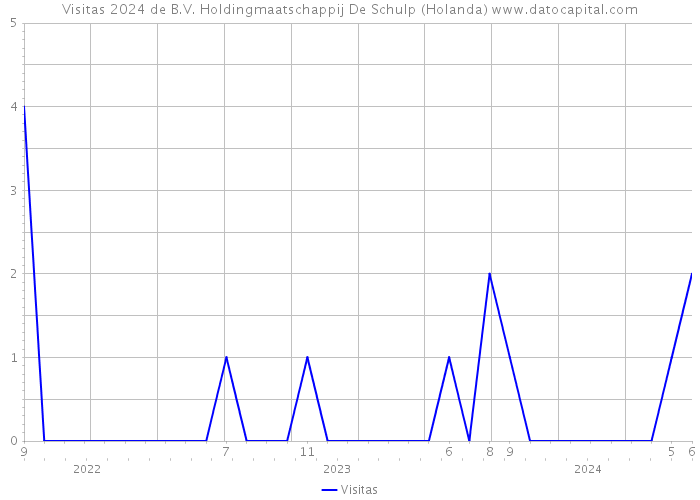 Visitas 2024 de B.V. Holdingmaatschappij De Schulp (Holanda) 