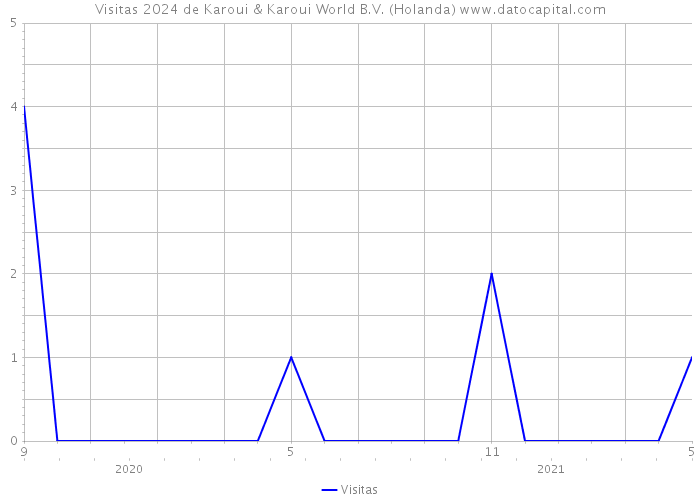 Visitas 2024 de Karoui & Karoui World B.V. (Holanda) 