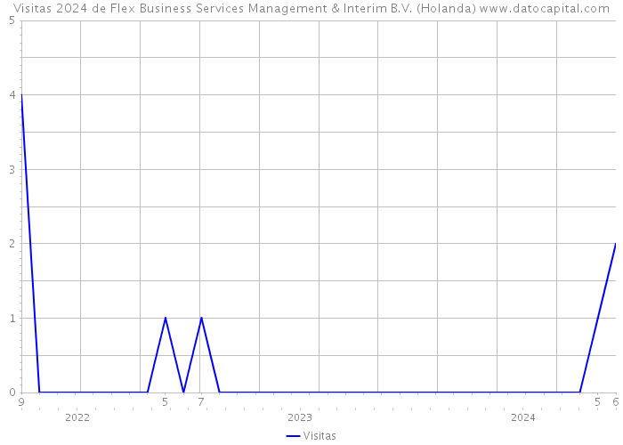 Visitas 2024 de Flex Business Services Management & Interim B.V. (Holanda) 