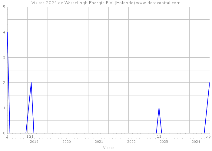 Visitas 2024 de Wesselingh Energie B.V. (Holanda) 