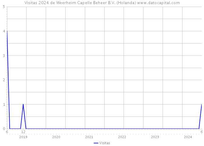 Visitas 2024 de Weerheim Capelle Beheer B.V. (Holanda) 