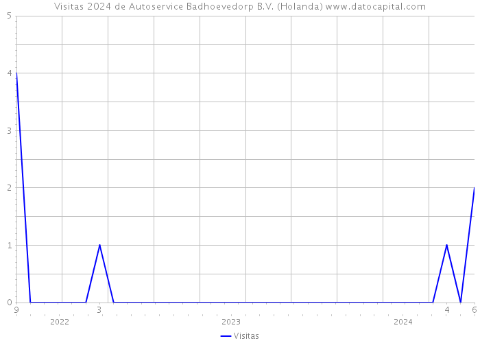 Visitas 2024 de Autoservice Badhoevedorp B.V. (Holanda) 