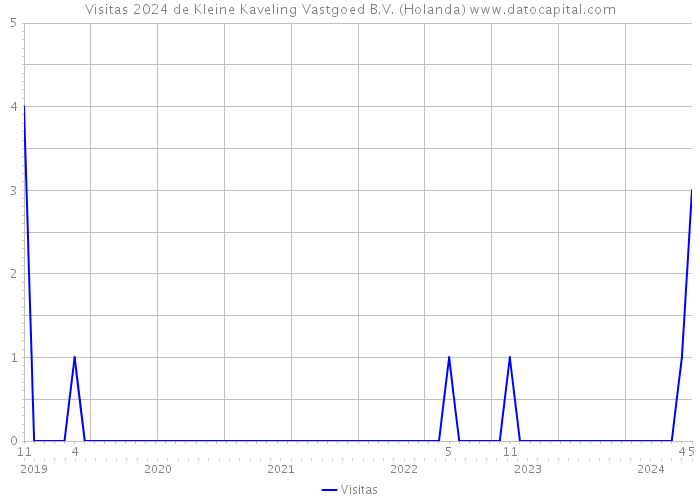 Visitas 2024 de Kleine Kaveling Vastgoed B.V. (Holanda) 