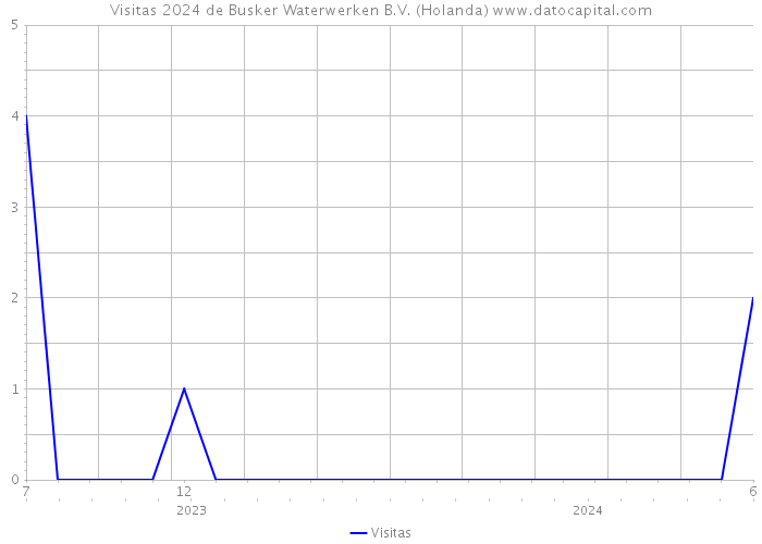 Visitas 2024 de Busker Waterwerken B.V. (Holanda) 