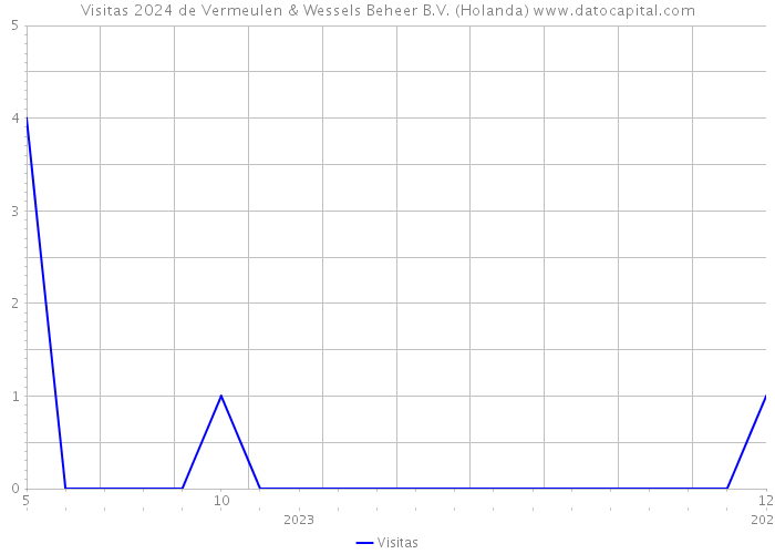 Visitas 2024 de Vermeulen & Wessels Beheer B.V. (Holanda) 