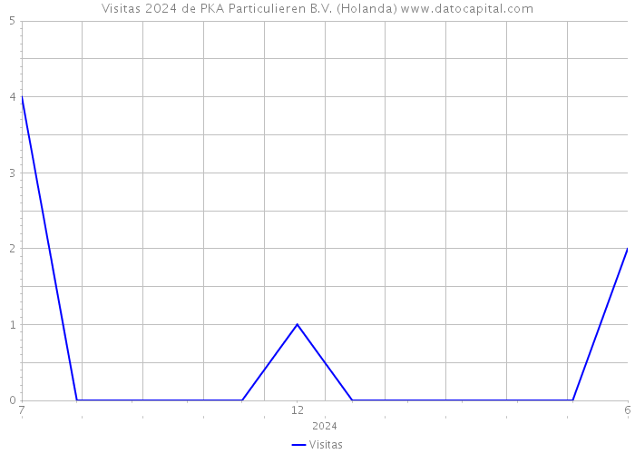 Visitas 2024 de PKA Particulieren B.V. (Holanda) 