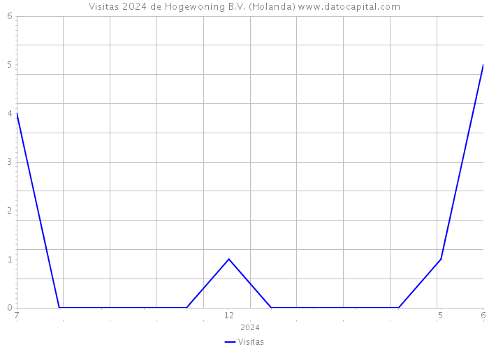 Visitas 2024 de Hogewoning B.V. (Holanda) 