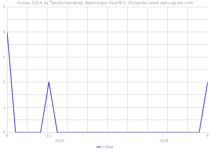 Visitas 2024 de Tandartspraktijk Wateringse Veld B.V. (Holanda) 