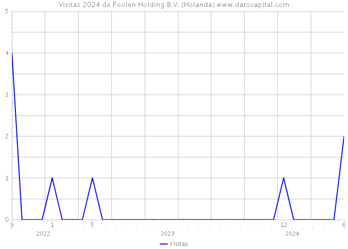 Visitas 2024 de Foolen Holding B.V. (Holanda) 