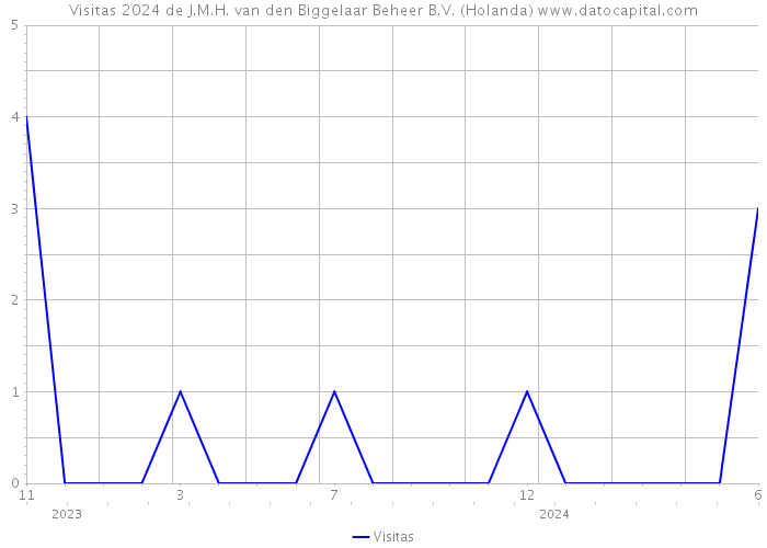 Visitas 2024 de J.M.H. van den Biggelaar Beheer B.V. (Holanda) 