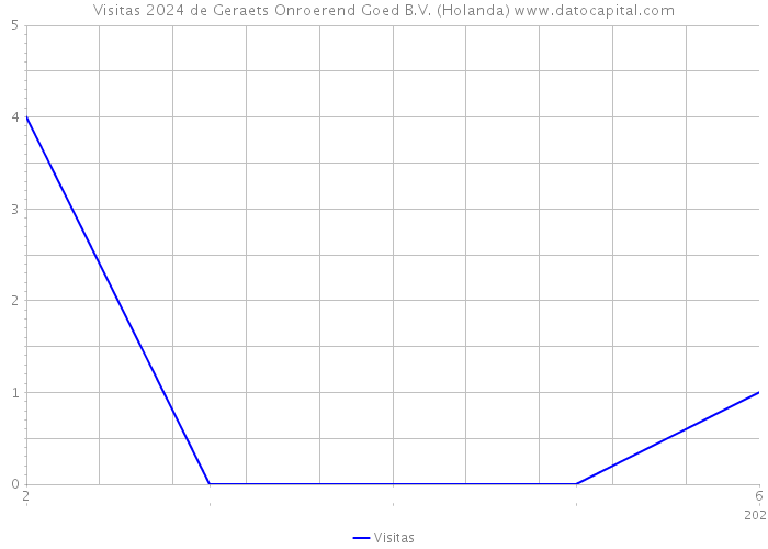 Visitas 2024 de Geraets Onroerend Goed B.V. (Holanda) 