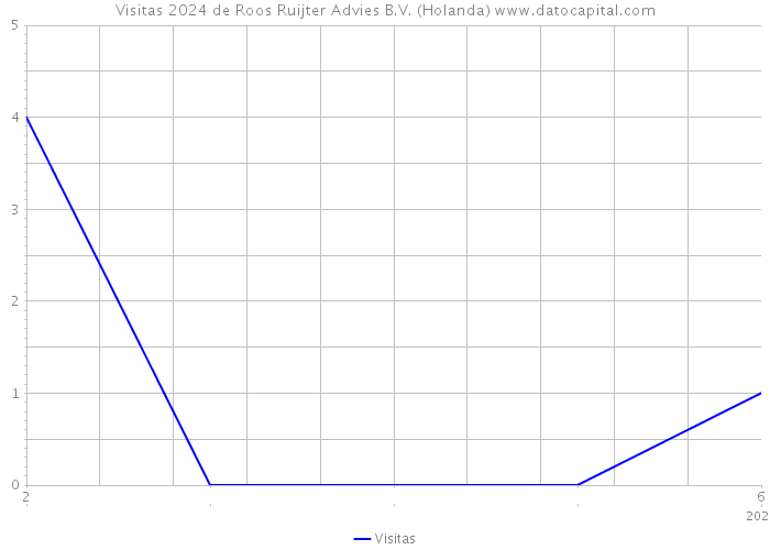 Visitas 2024 de Roos Ruijter Advies B.V. (Holanda) 