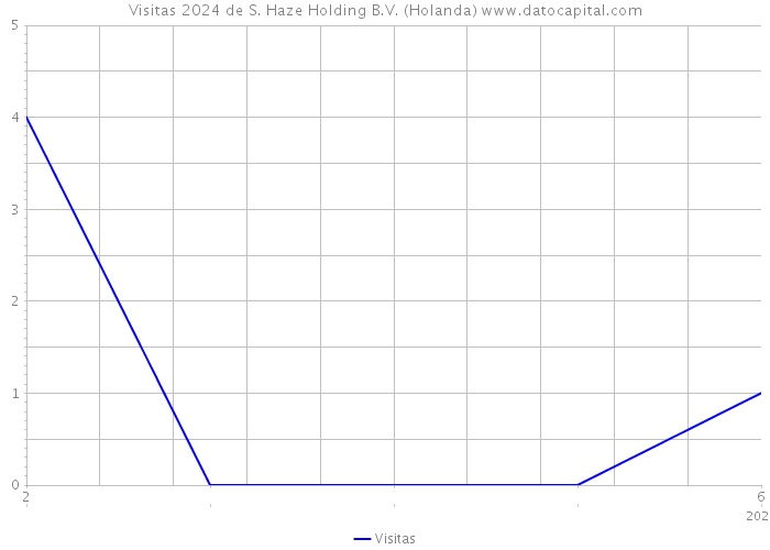 Visitas 2024 de S. Haze Holding B.V. (Holanda) 