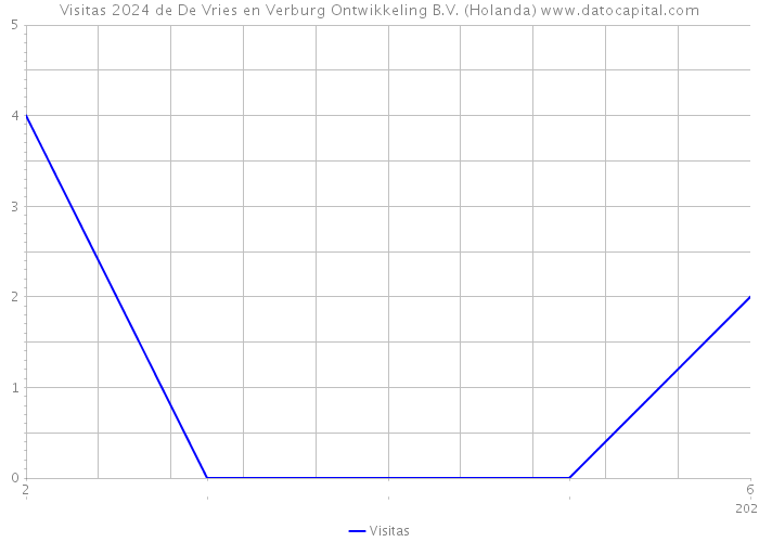 Visitas 2024 de De Vries en Verburg Ontwikkeling B.V. (Holanda) 