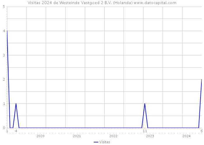 Visitas 2024 de Westeinde Vastgoed 2 B.V. (Holanda) 