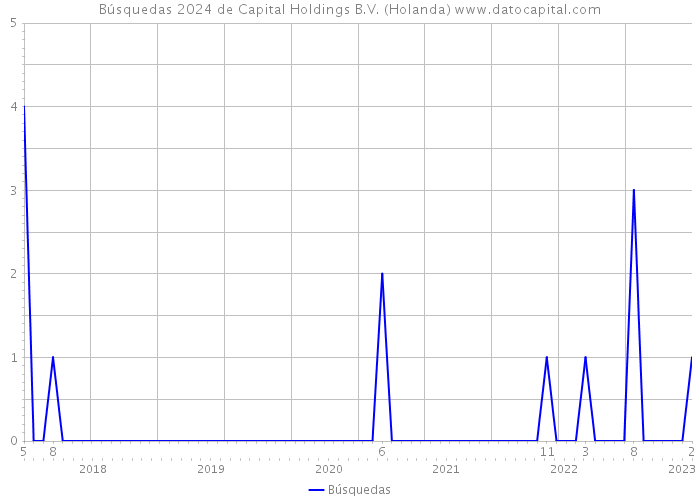 Búsquedas 2024 de Capital Holdings B.V. (Holanda) 