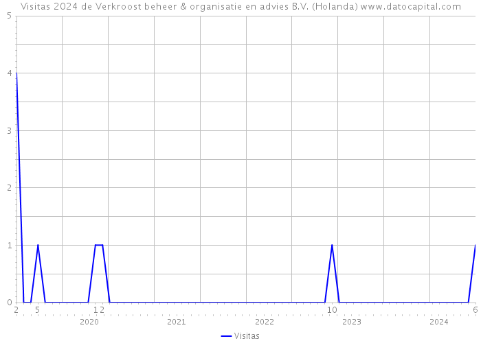 Visitas 2024 de Verkroost beheer & organisatie en advies B.V. (Holanda) 