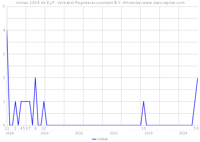Visitas 2024 de E.J.F. Verbakel Registeraccountant B.V. (Holanda) 