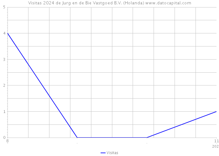 Visitas 2024 de Jurg en de Bie Vastgoed B.V. (Holanda) 
