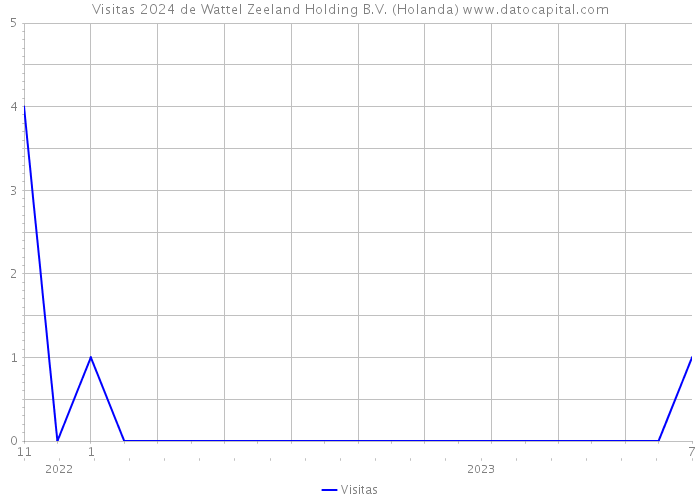 Visitas 2024 de Wattel Zeeland Holding B.V. (Holanda) 