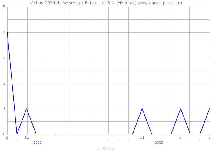 Visitas 2024 de Westblaak Beheerder B.V. (Holanda) 