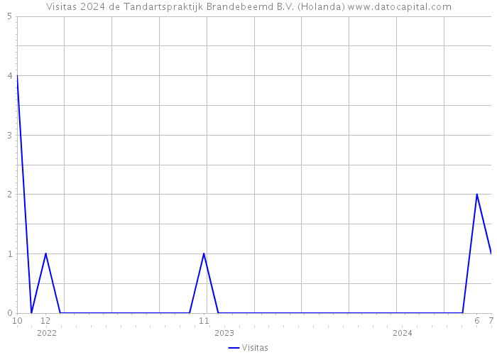 Visitas 2024 de Tandartspraktijk Brandebeemd B.V. (Holanda) 