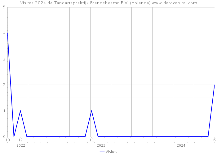 Visitas 2024 de Tandartspraktijk Brandebeemd B.V. (Holanda) 