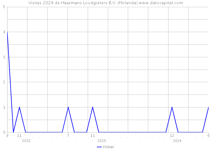 Visitas 2024 de Haarmans Loodgieters B.V. (Holanda) 