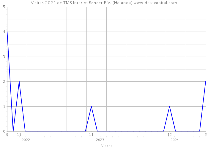 Visitas 2024 de TMS Interim Beheer B.V. (Holanda) 