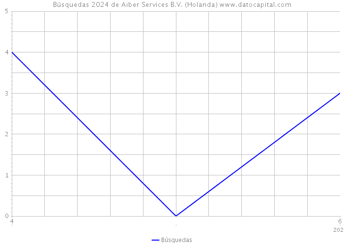 Búsquedas 2024 de Aiber Services B.V. (Holanda) 