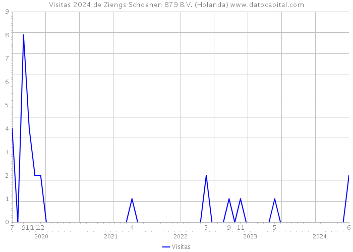 Visitas 2024 de Ziengs Schoenen 879 B.V. (Holanda) 