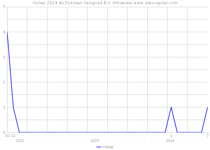 Visitas 2024 de Dokman Vastgoed B.V. (Holanda) 