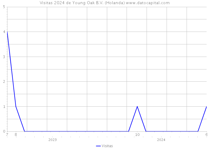 Visitas 2024 de Young Oak B.V. (Holanda) 