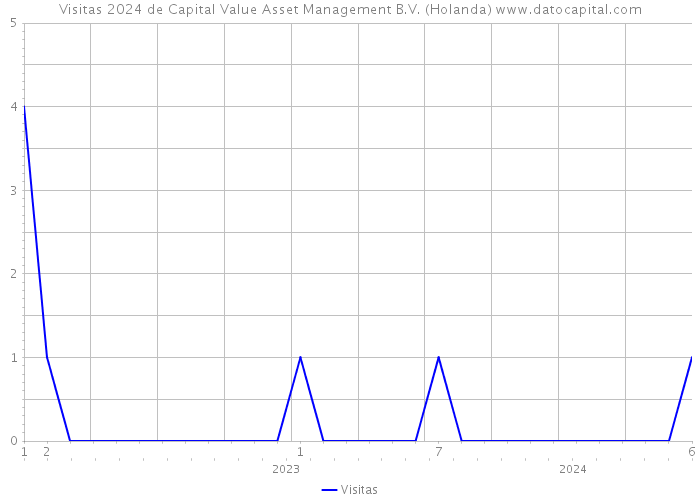 Visitas 2024 de Capital Value Asset Management B.V. (Holanda) 