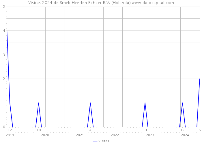 Visitas 2024 de Smelt Heerlen Beheer B.V. (Holanda) 