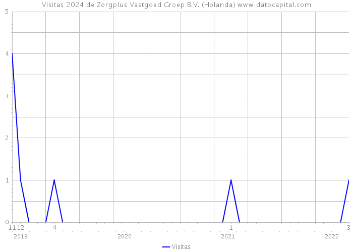 Visitas 2024 de Zorgplus Vastgoed Groep B.V. (Holanda) 