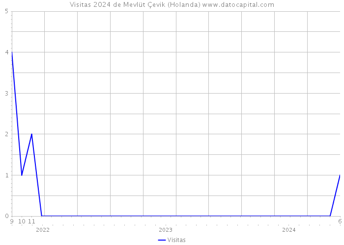 Visitas 2024 de Mevlüt Çevik (Holanda) 