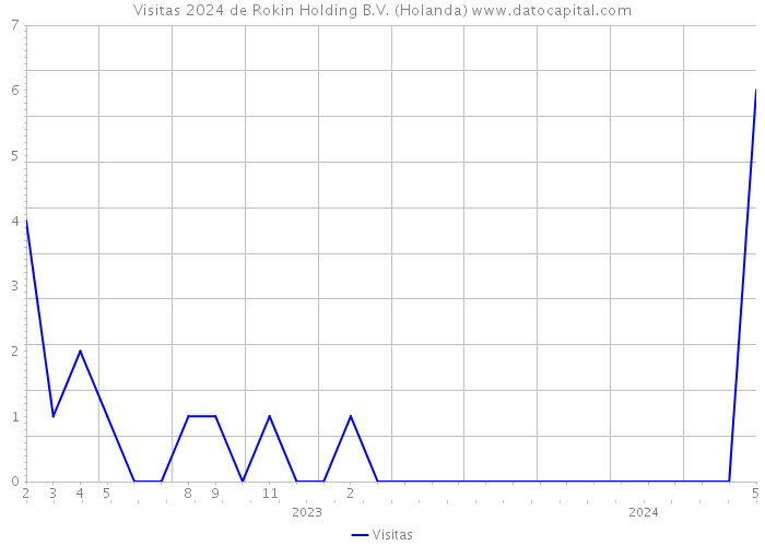 Visitas 2024 de Rokin Holding B.V. (Holanda) 