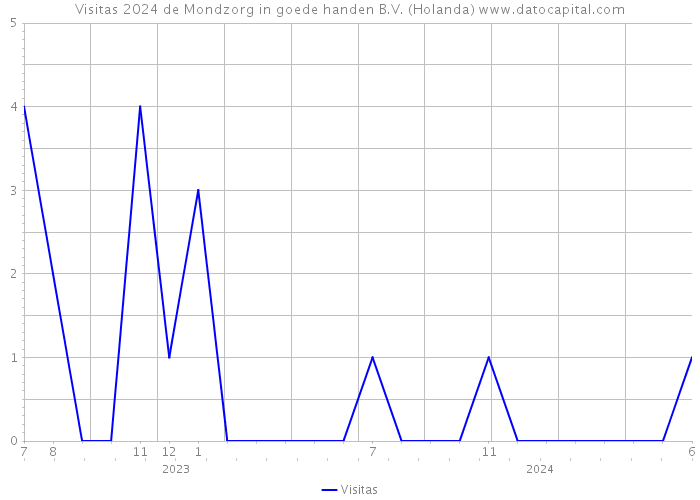 Visitas 2024 de Mondzorg in goede handen B.V. (Holanda) 