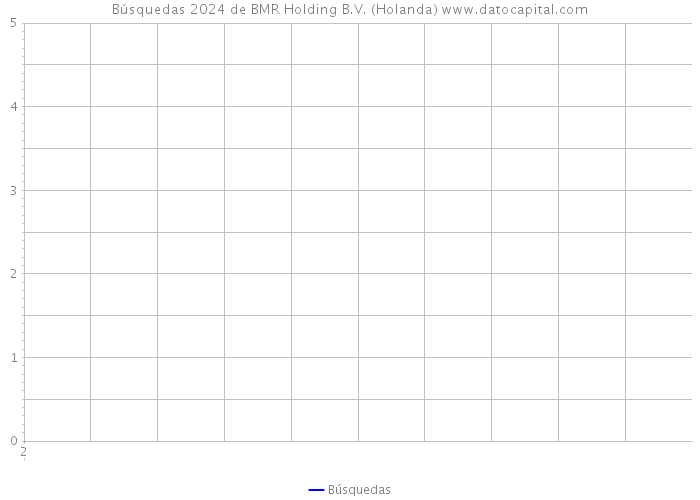 Búsquedas 2024 de BMR Holding B.V. (Holanda) 