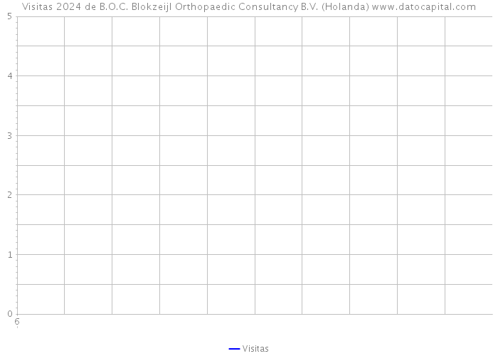 Visitas 2024 de B.O.C. Blokzeijl Orthopaedic Consultancy B.V. (Holanda) 