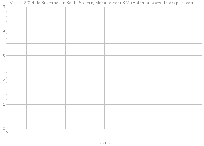 Visitas 2024 de Brummel en Beuk Property Management B.V. (Holanda) 