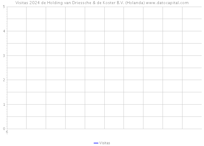 Visitas 2024 de Holding van Driessche & de Koster B.V. (Holanda) 