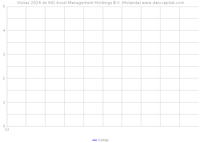 Visitas 2024 de ING Asset Management Holdings B.V. (Holanda) 