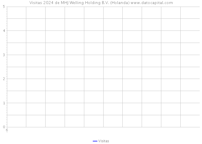 Visitas 2024 de MHJ Welling Holding B.V. (Holanda) 