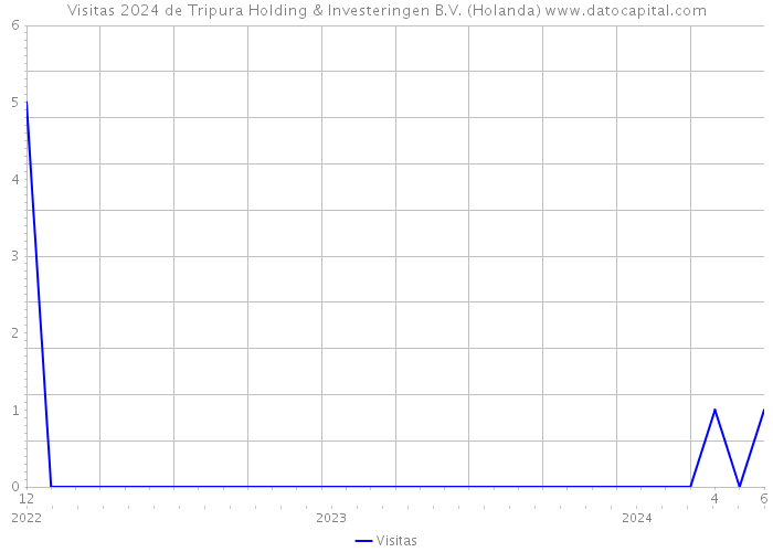 Visitas 2024 de Tripura Holding & Investeringen B.V. (Holanda) 